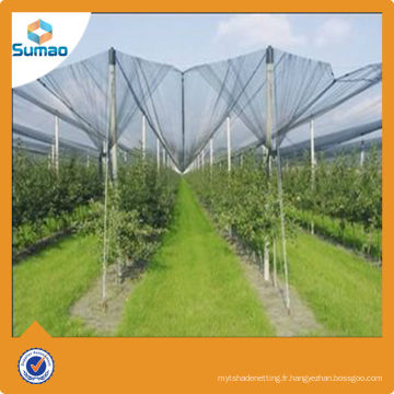 100% vierge nouveau HDPE pomme grêle protection filet / anti grêle net